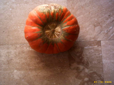 2006_0118Bild0055.JPG