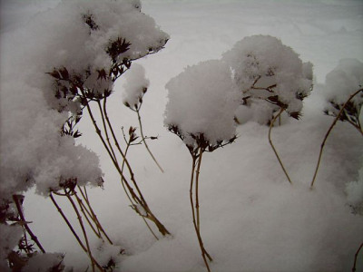 Jan18-4.jpg