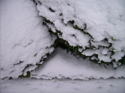 Jan18-5.jpg