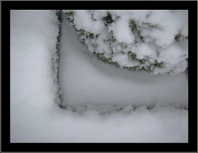Buchs_Tilia_Schnee_1_18-01-06.jpg