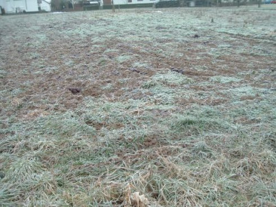 kurbisacker_im_januar.jpg