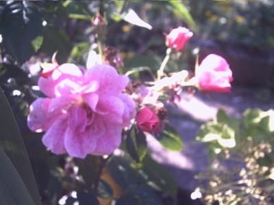 PHTO0227.JPG