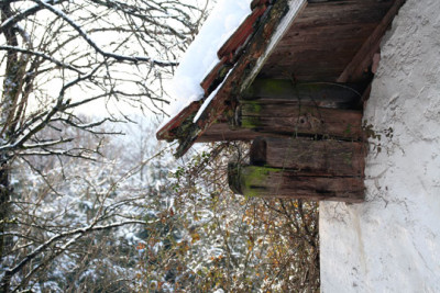Haus-im-Wald-3.jpg