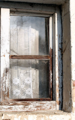 Haus-im-Walde-5.jpg