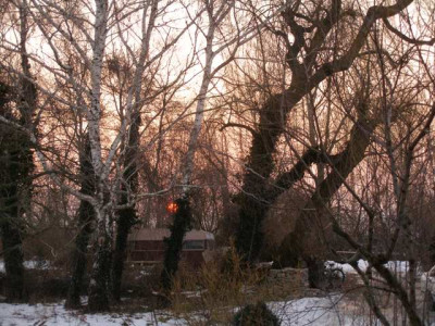 morgensonne_fuer_lisl.jpg