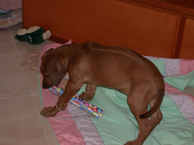 DSCN22686_86.jpg