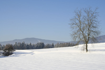 Lallinger-Winkel-1.jpg