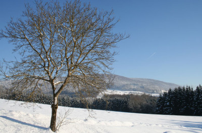 Lallinger-Winkel-3.jpg