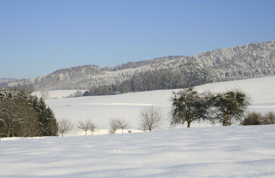 Lallinger-Winkel-4.jpg