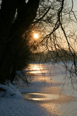 Gefahrliche-Donau-1.jpg