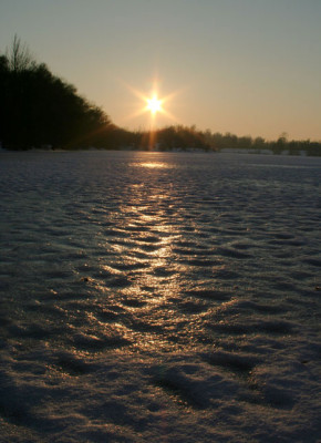 Gefahrliche-Donau-2-a.jpg