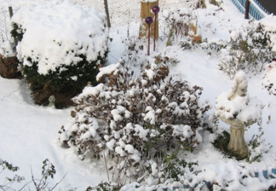 schnee_1.jpg