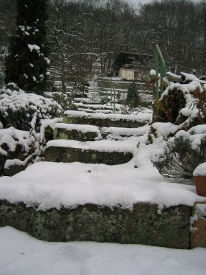 Gartentreppe20060126.jpg