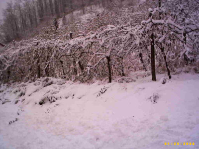 2006_0126Bild0004.JPG