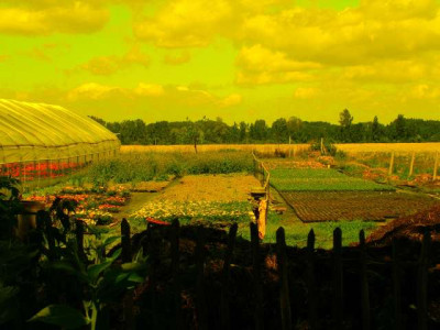 2005-06-30_farbedit.jpg