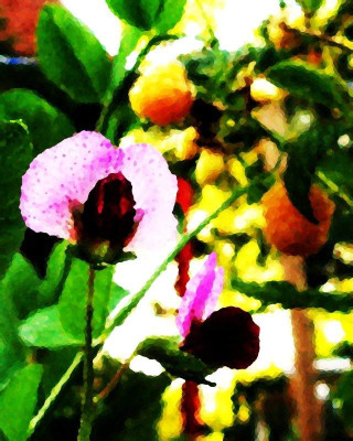 2005-06-24_Bild_009_oil_paint_faktor_7_9-medianfilter_9_contrast.jpg