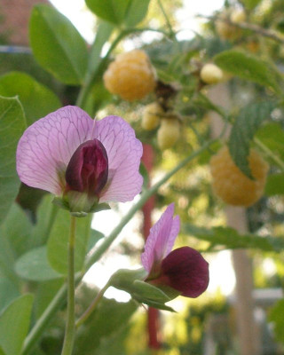 2005-06-24_Bild_009.jpg