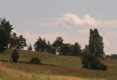 waldviertel_2005-08-10_071.jpg