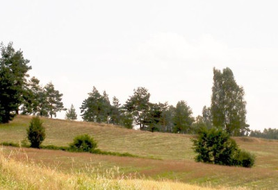 waldviertel_2005-08-10_071_v1.jpg