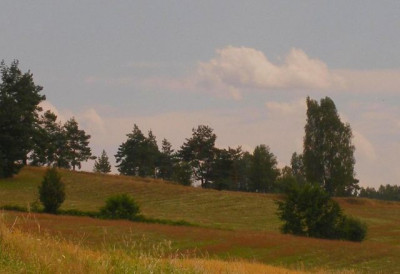 waldviertel_2005-08-10_071_v2.jpg