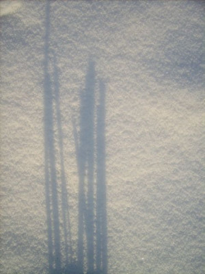 schatten1.jpg