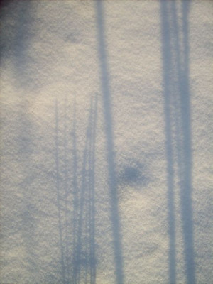 schatten2.jpg