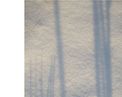 schatten2-3_GPur-Tilia.jpg