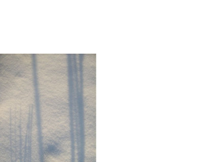 schatten2-1_GPur-Tilia.jpg