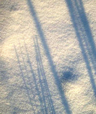 schatten-bearbeitet.jpg