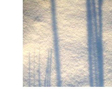 schatten2-4_GPur-Tilia.jpg
