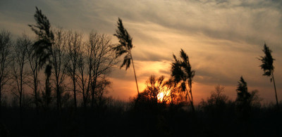 Treibeis-8.jpg