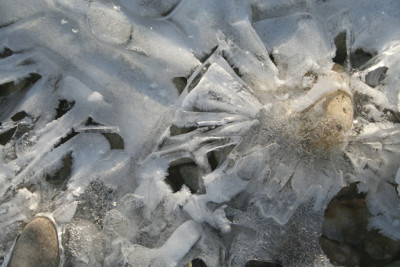 Treibeis-13.jpg