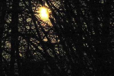Sonne_1_28-01-06.jpg