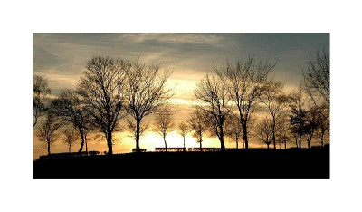 Sonne_3_28-01-06.jpg