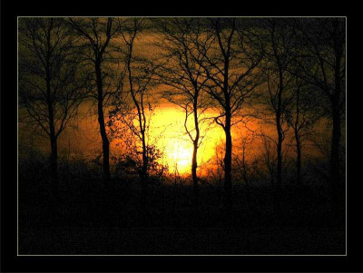Sonne_6_28-01-06.jpg
