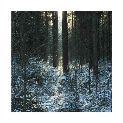 Sonne_7_28-01-06.jpg
