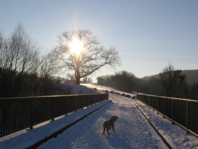 29_januar_0201.jpg