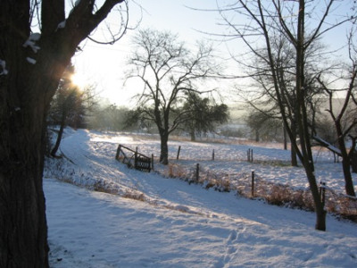 29_januar_0011.jpg