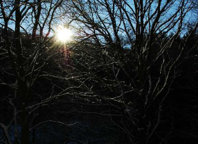 Sonne_1_29-01-06.jpg