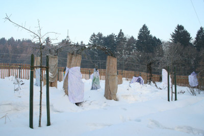 Verhullung-002.jpg