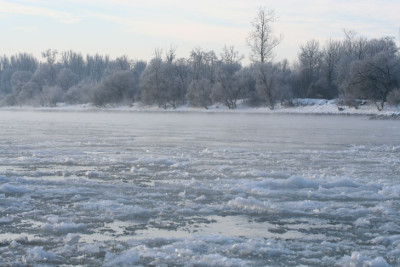 Blaue-Donau-2.jpg