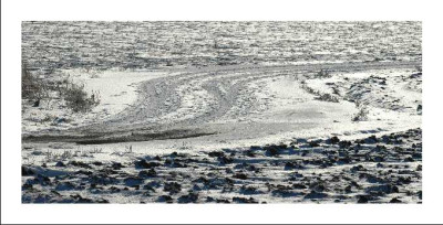 Mein_Weg_1_29-01-06.jpg