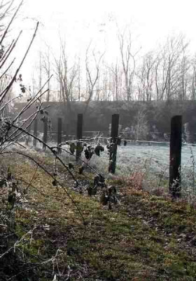 Eisiger_Weg_8.jpg