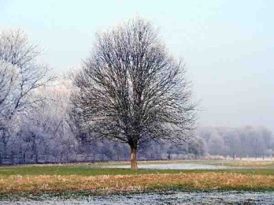 Eisiger_Weg_2.jpg