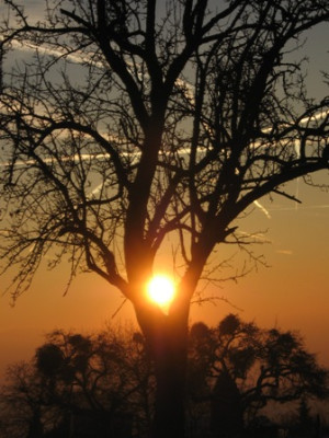 Sonnenuntergang_1.jpg