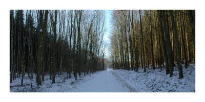 Mein_Weg_5_29-01-06.jpg