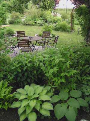 apfelbaumbeet_hostas.jpg