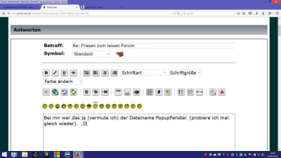 PopupFensterSecurityCheck.jpg