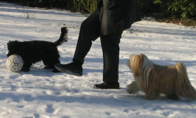 Charly-und-Shiva-2k.jpg