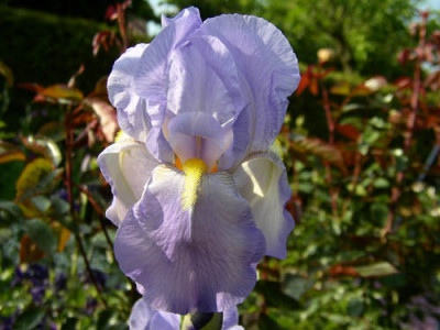 U13_hellblau_100cm.jpg